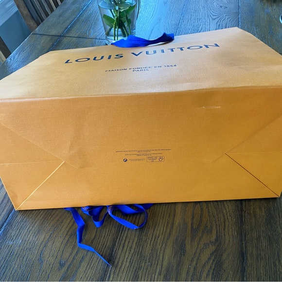 LOUIS VUITTON GIFT BAG - Picture 3 of 9